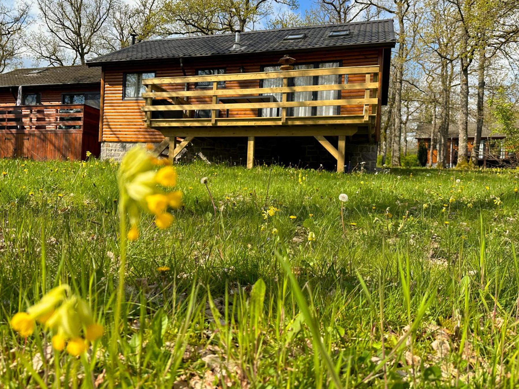 South Soul Cottage 소메레우제 외부 사진